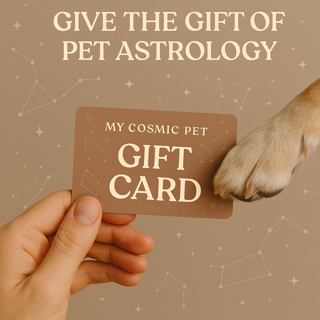 A Cosmic Gift for Pet Lovers