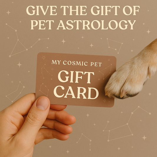 A Cosmic Gift for Pet Lovers