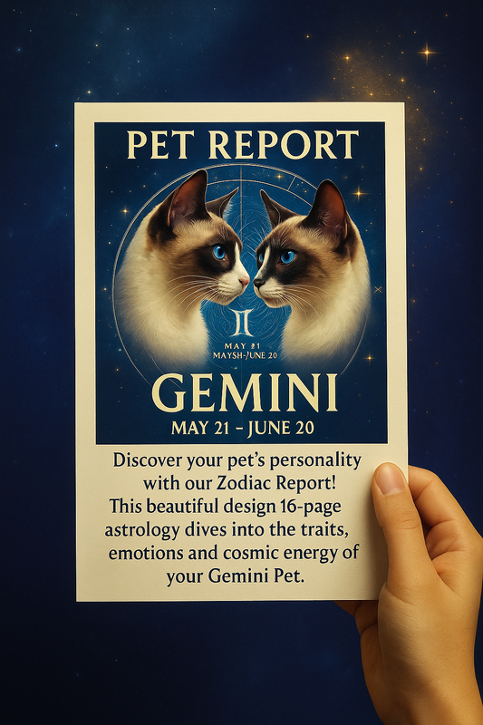 Gemini: The Playful Spirit | May 21 – June 20