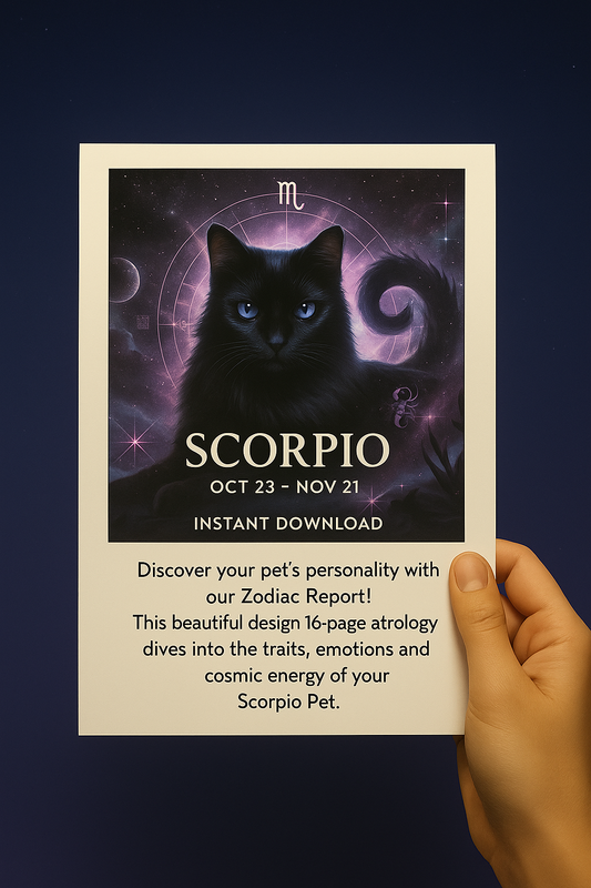 Scorpio: The Fierce & Faithful | October 23 – November 21